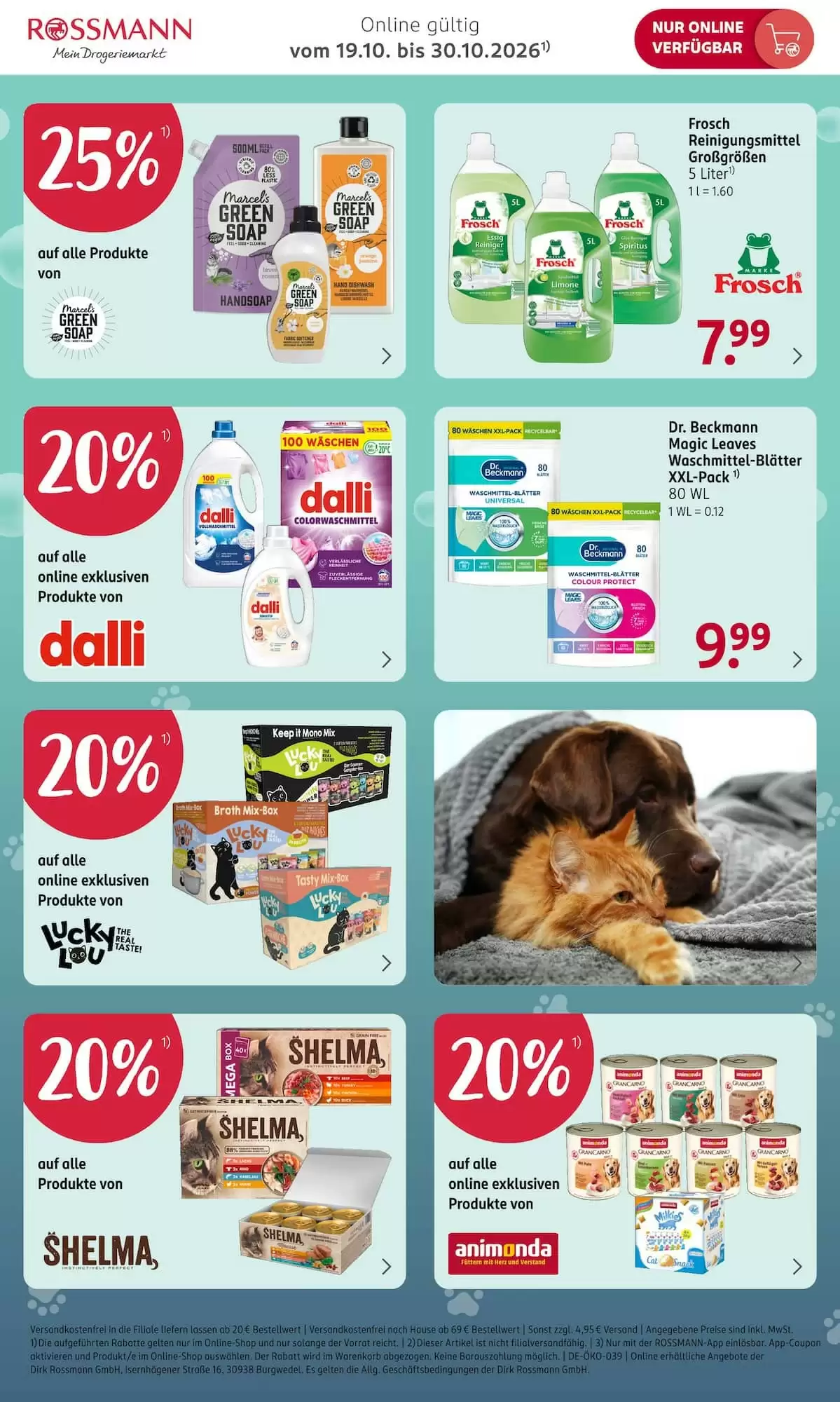 Rossmann Prospekt (ab 19.10.2026) zum Blättern - Seite 3