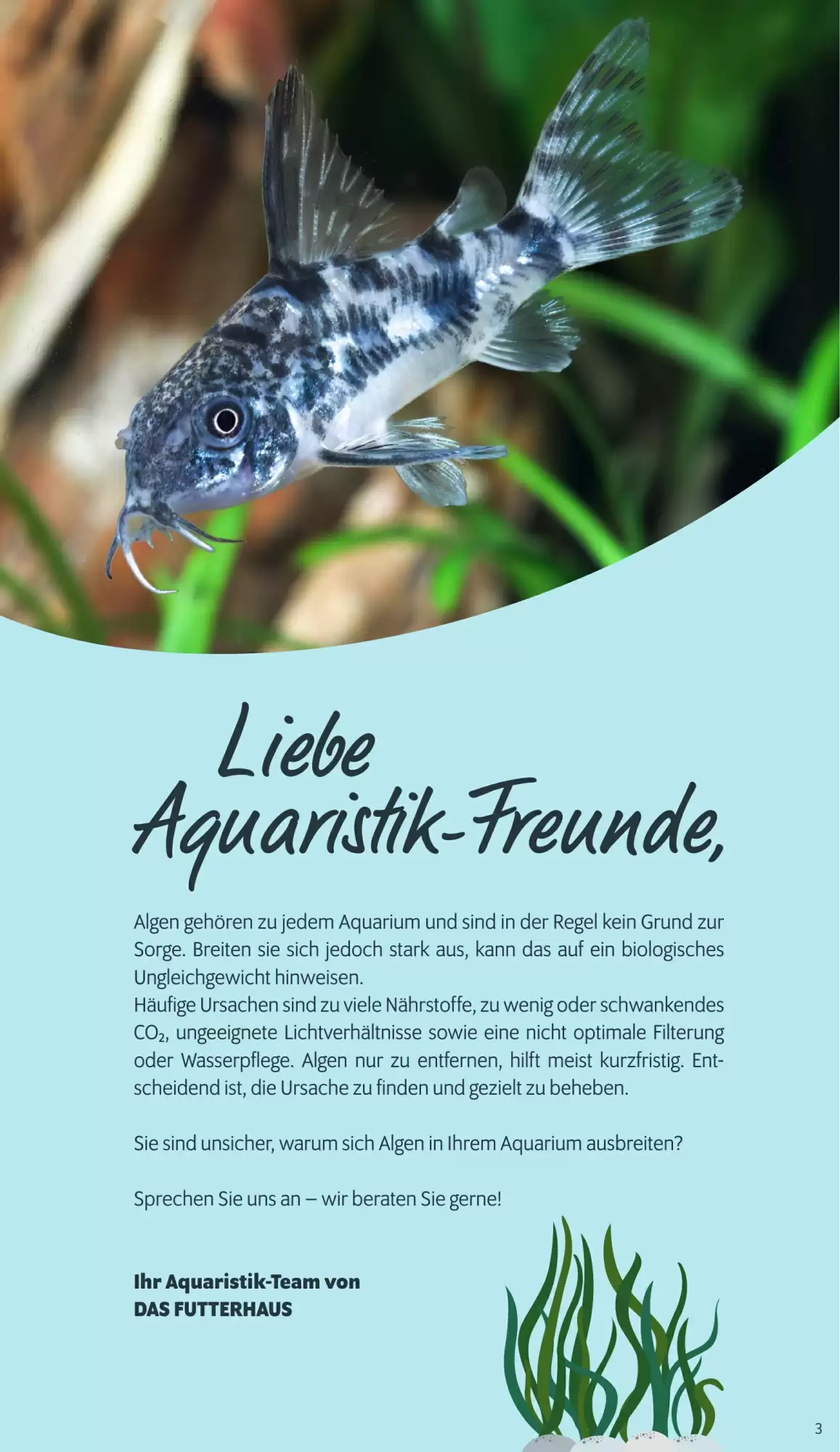 Das Futterhaus Prospekt (ab 24.10.2026) zum Blättern - Seite 3