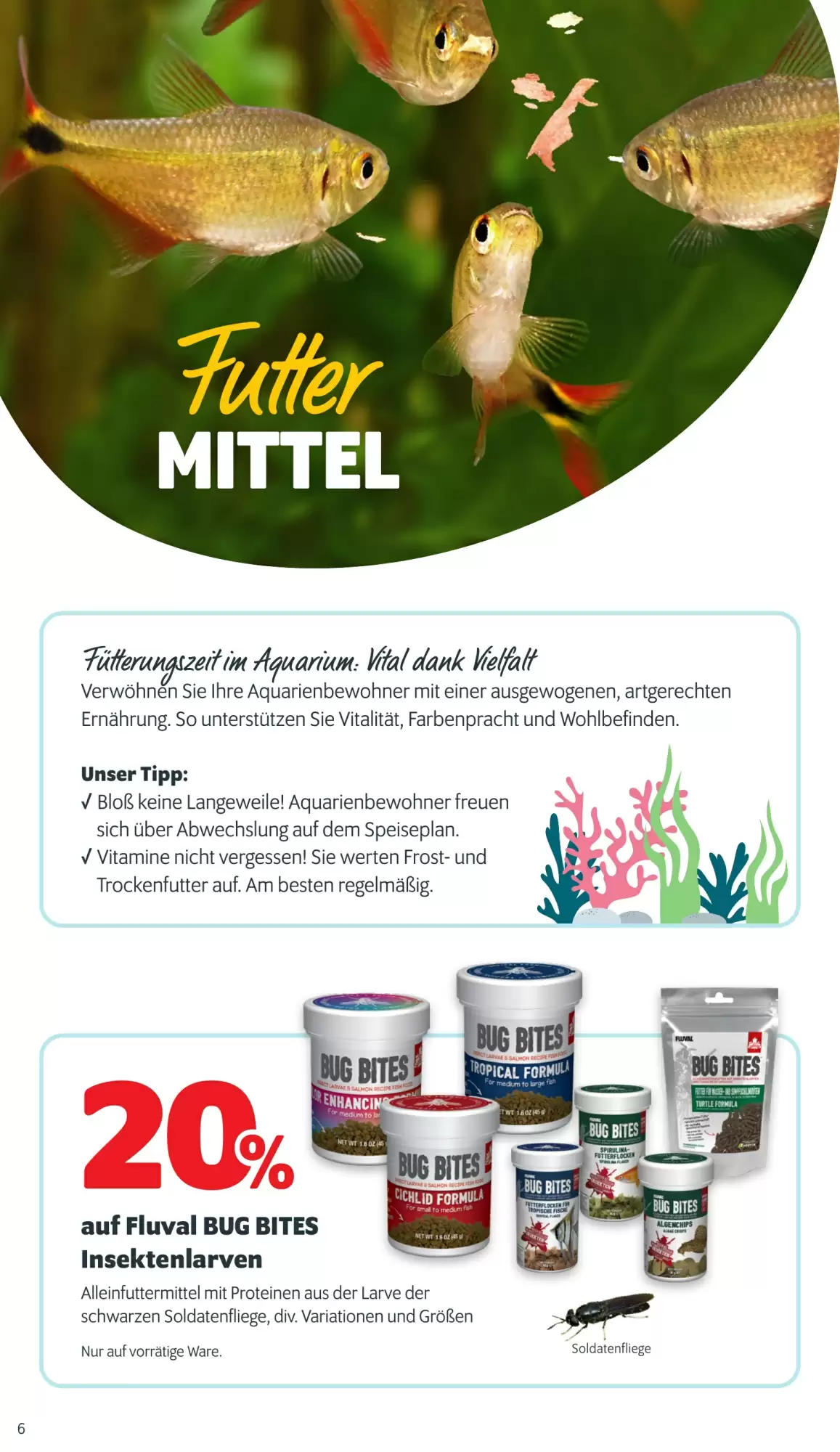 Das Futterhaus Prospekt (ab 24.10.2026) zum Blättern - Seite 6
