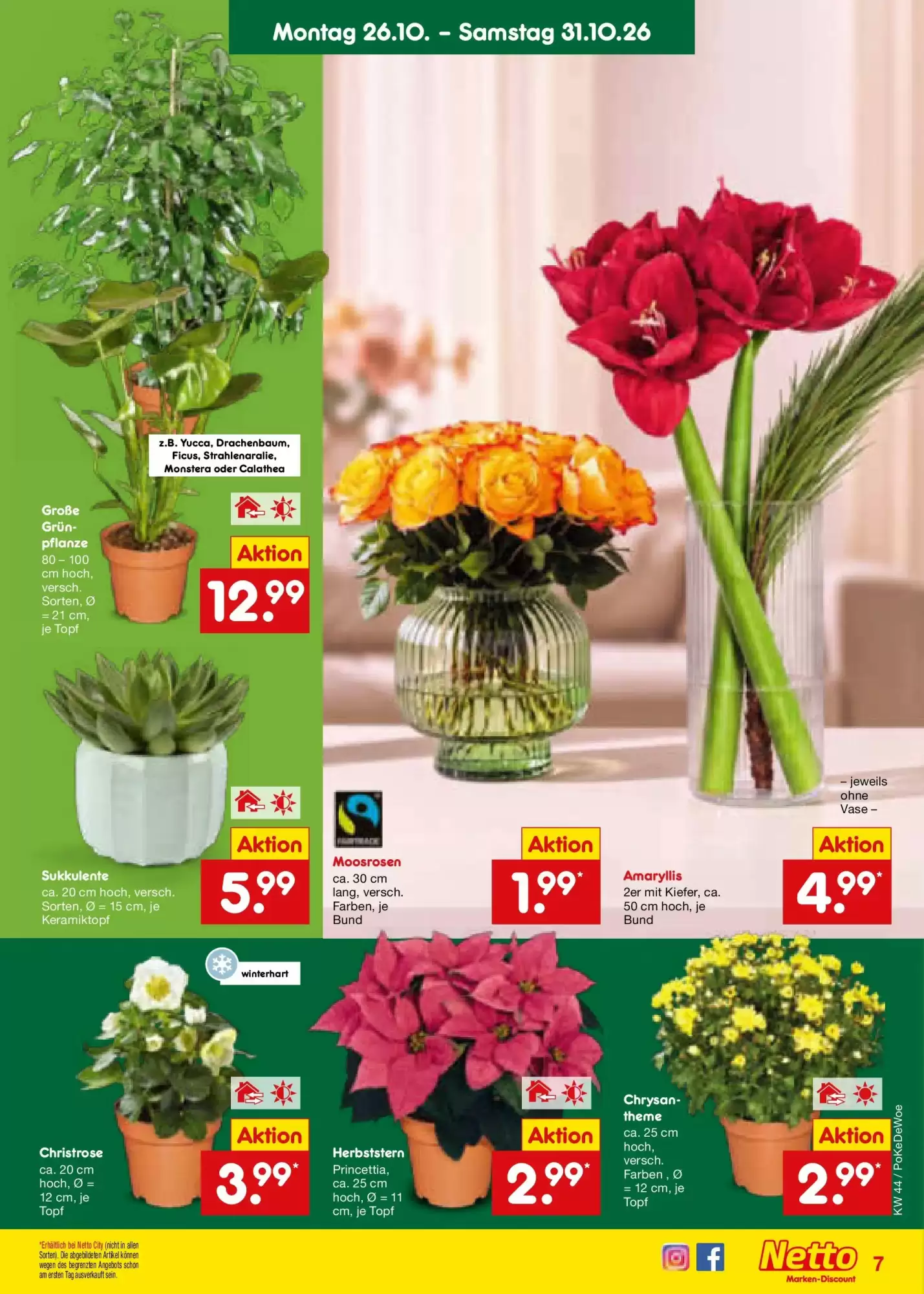 Netto Marken-Discount Prospekt (ab 25.10.2026) zum Blättern - Seite 9