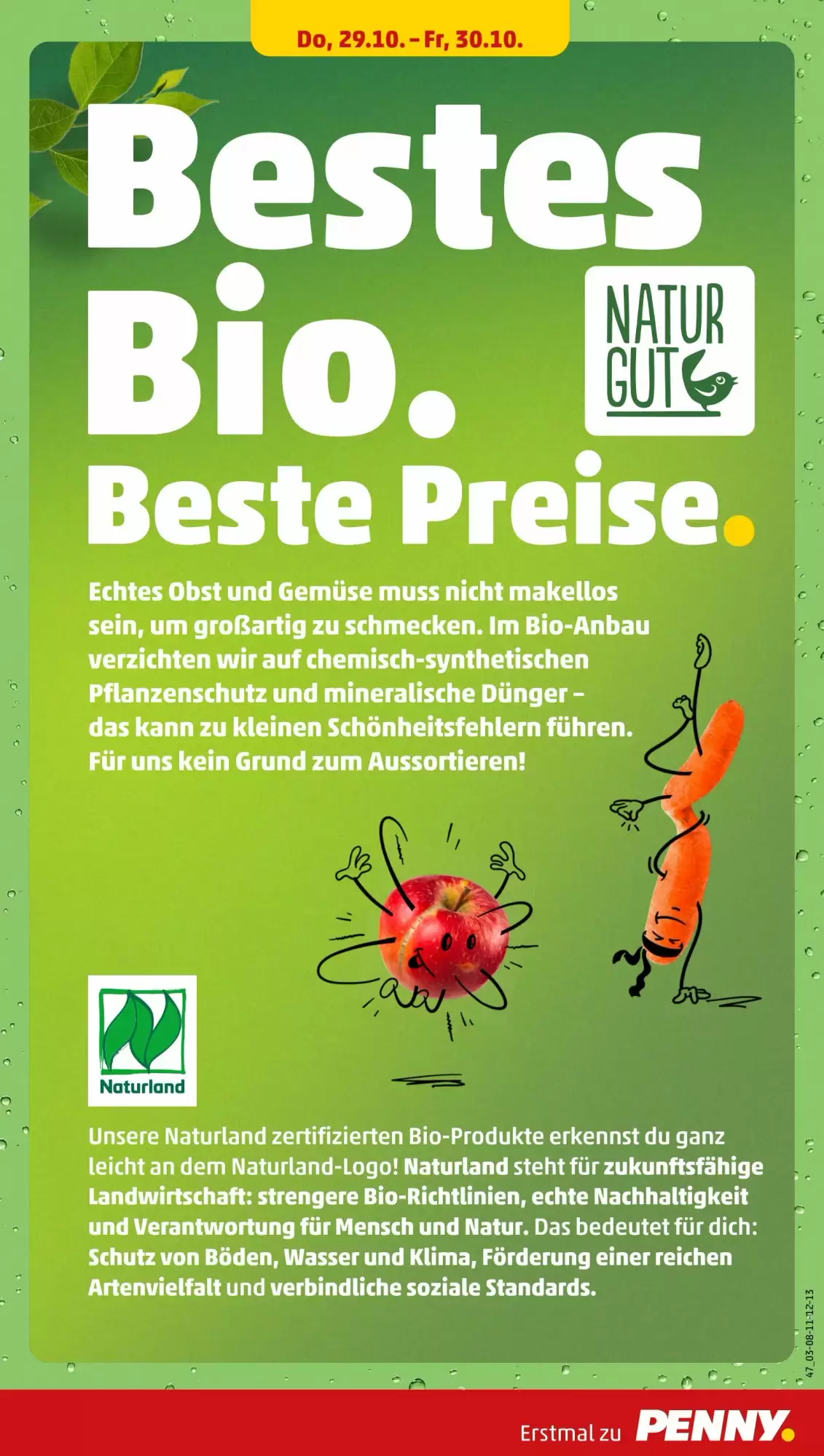 PENNY Prospekt (ab 26.10.2026) zum Blättern - Seite 37