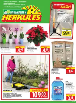 Herkules Baumarkt Prospekt