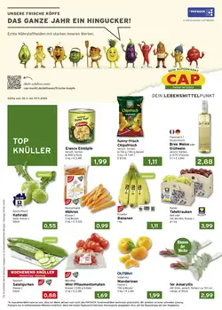 CAP Markt Prospekt (ab 02.11.2026) zum Blättern