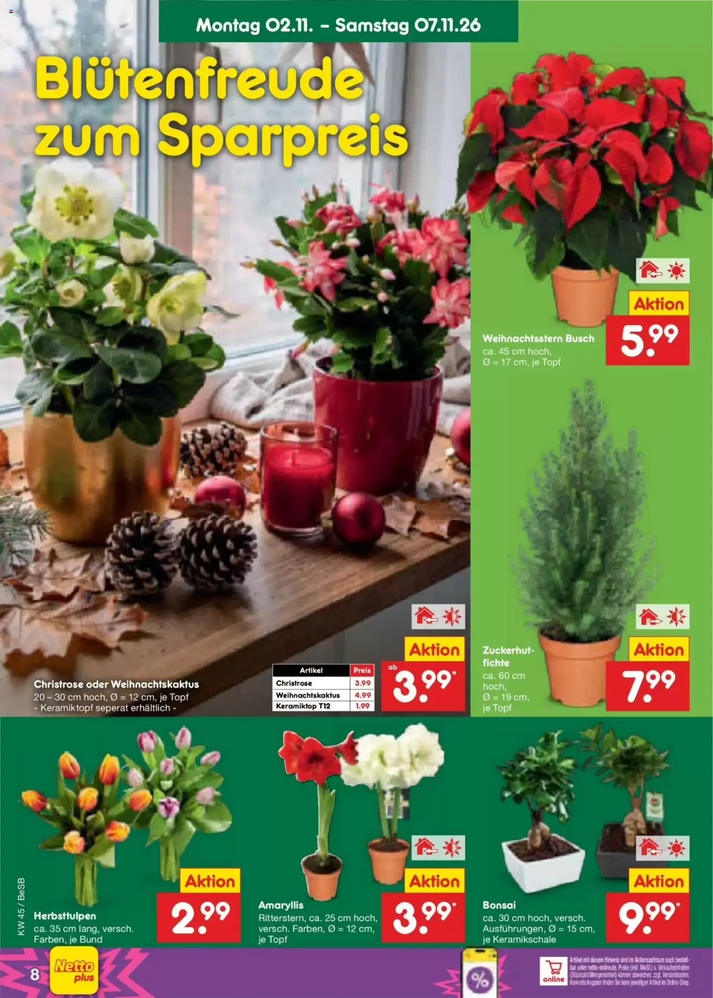 Netto Marken-Discount Prospekt (ab 02.11.2026) zum Blättern - Seite 12