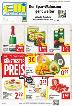 Elli Markt Prospekt