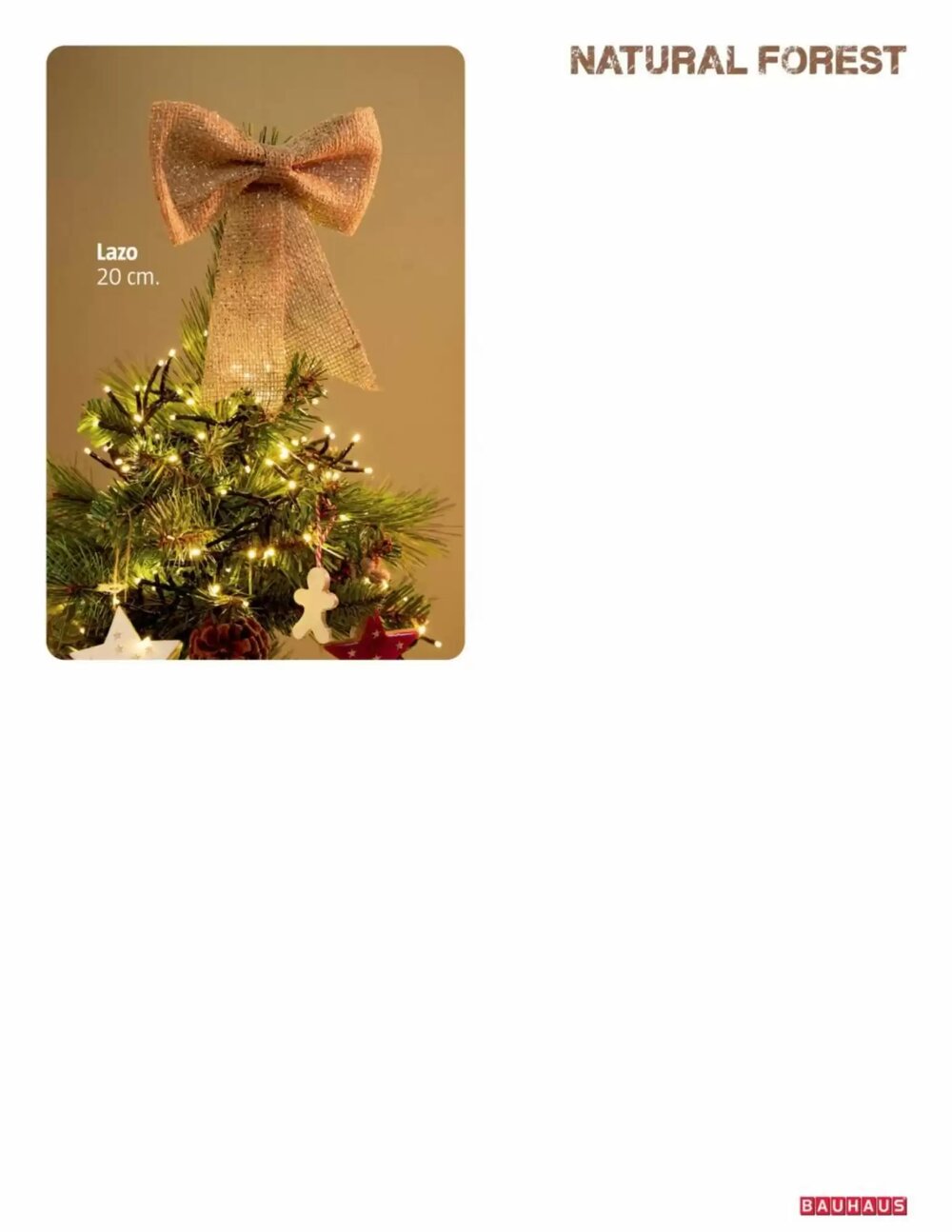 Folleto promocional de Bauhaus válido desde el 06/11/2025 - Página 17.