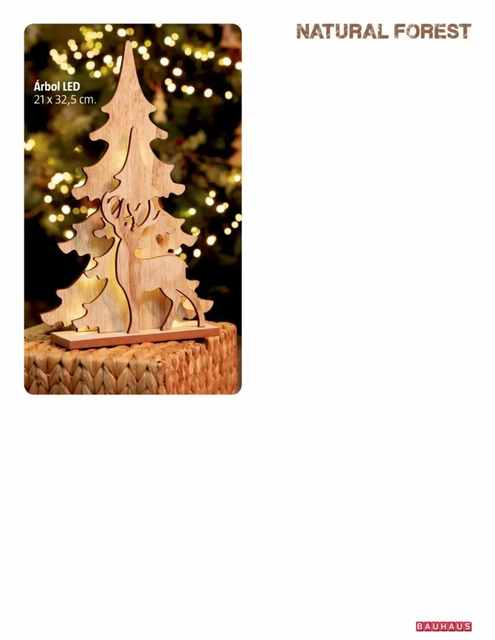 Folleto promocional de Bauhaus válido desde el 06/11/2025 - Página 19.