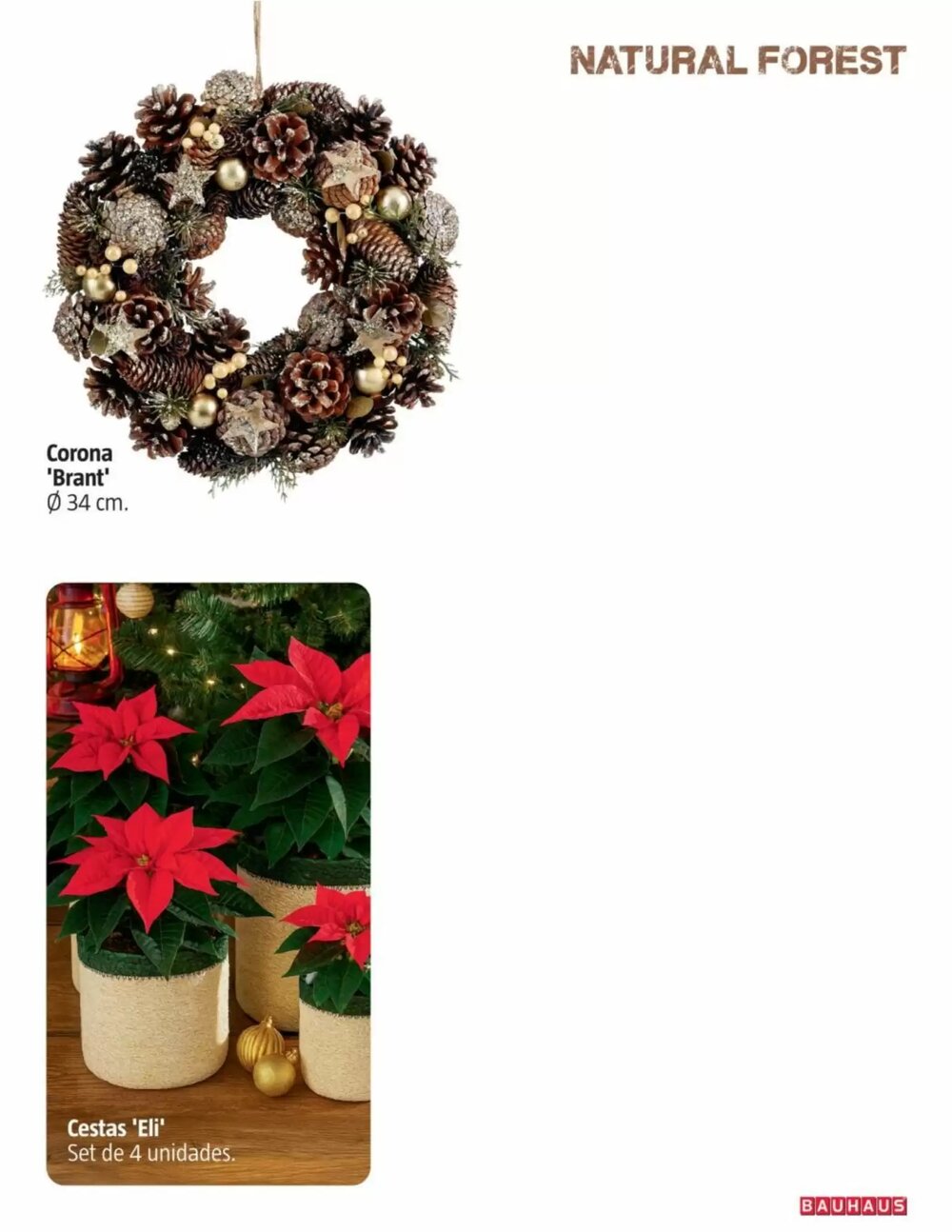 Folleto promocional de Bauhaus válido desde el 06/11/2025 - Página 21.