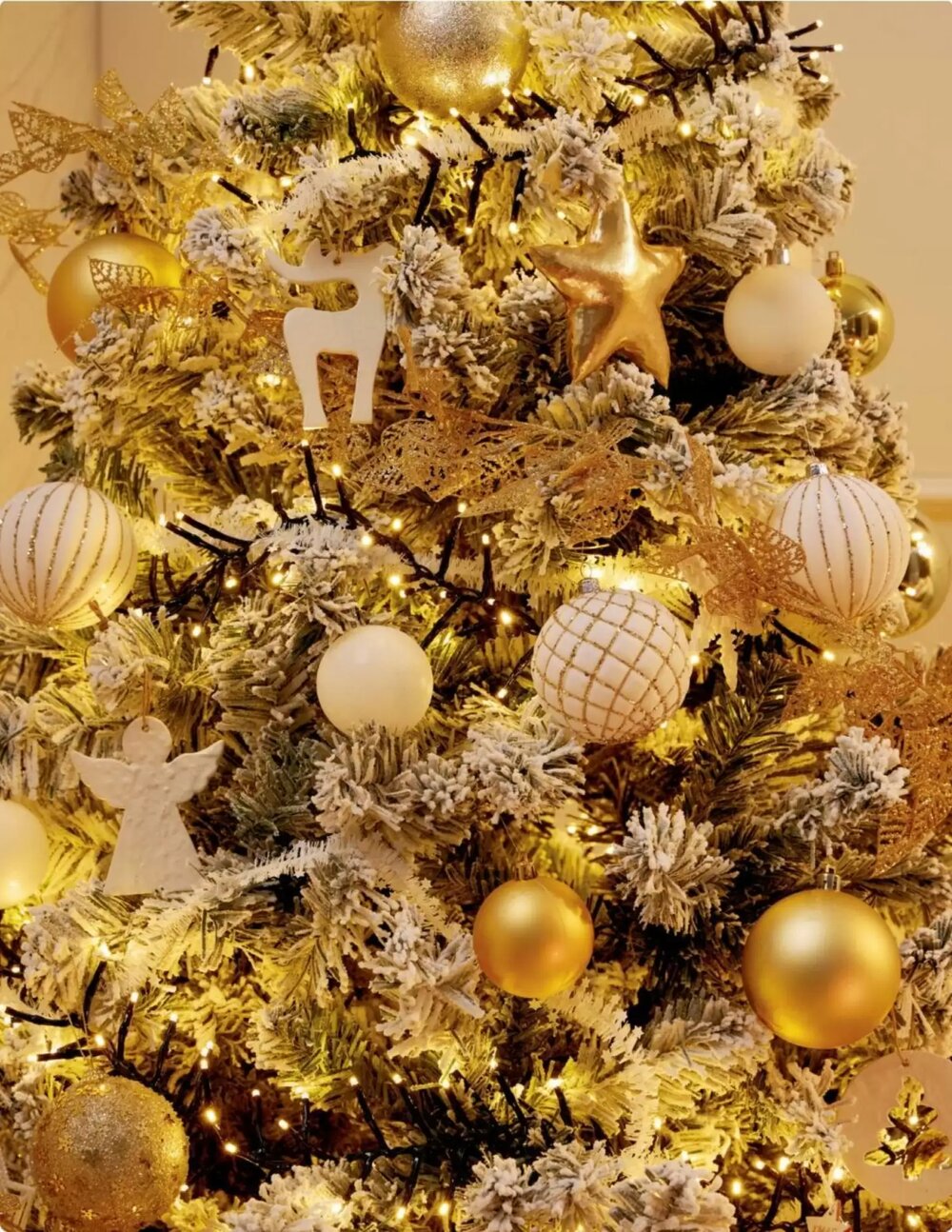 Folleto promocional de Bauhaus válido desde el 06/11/2025 - Página 24.