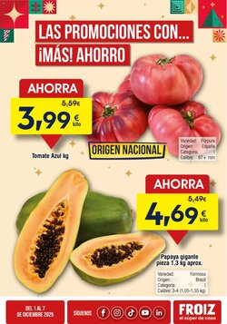Folleto promocional de FROIZ válido desde el 01/12/2025