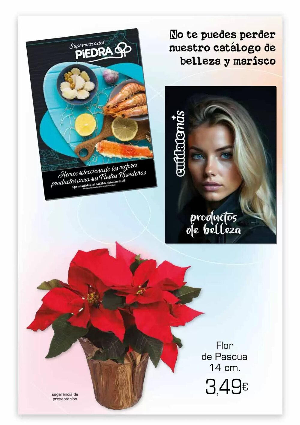 Folleto promocional de Piedra válido desde el 04/12/2025 - Página 23.