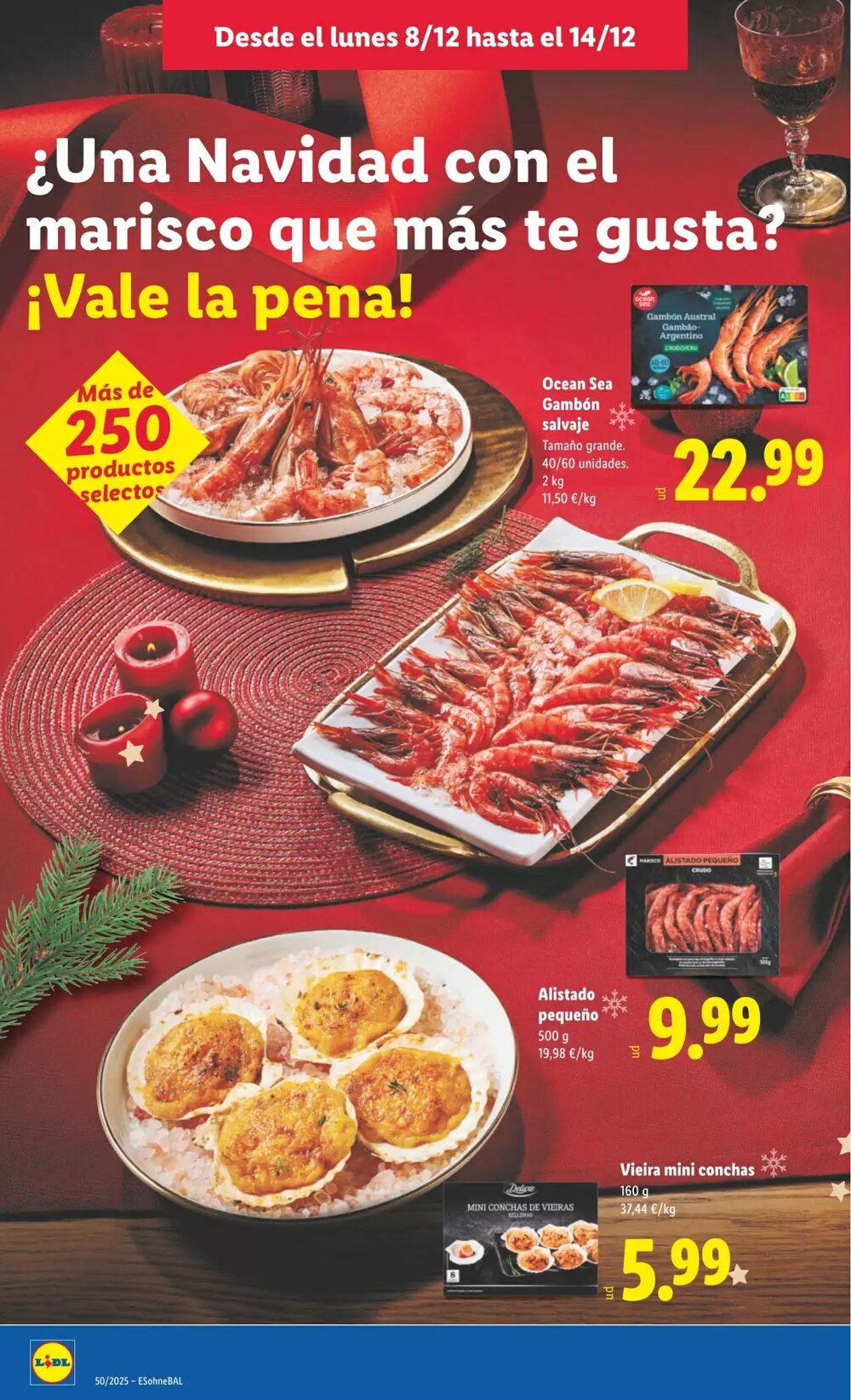 Folleto promocional de Lidl válido desde el 08/12/2025 - Página 10.