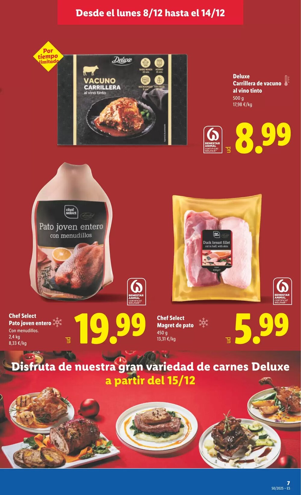 Folleto promocional de Lidl válido desde el 08/12/2025 - Página 13.