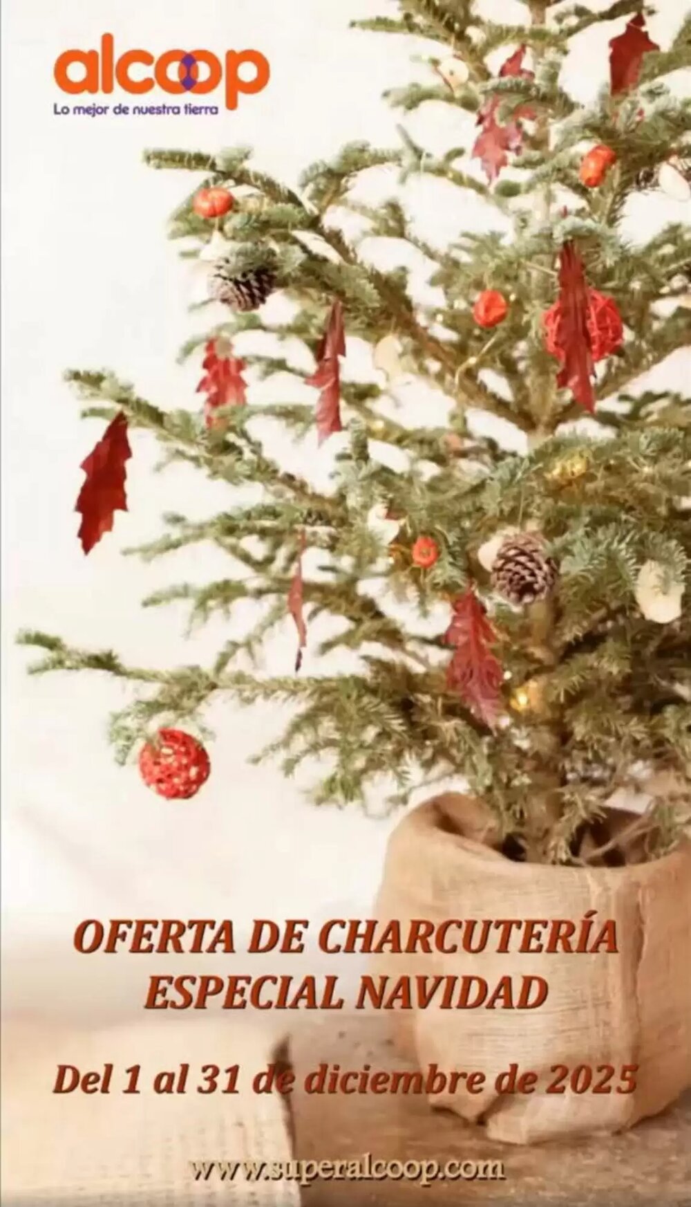 Folleto promocional de Super Alcoop válido desde el 10/12/2025 - Página 1.