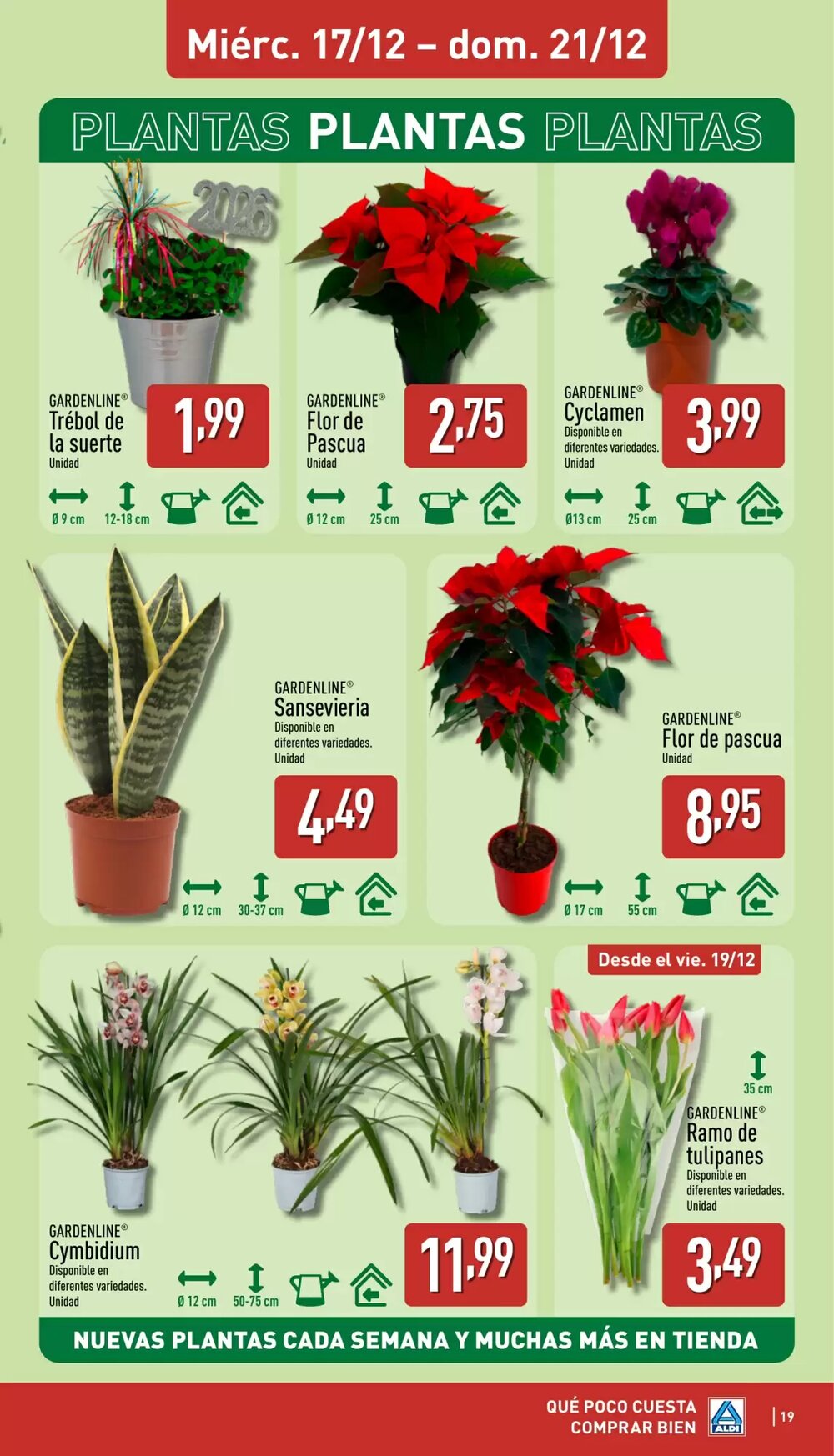Folleto promocional de ALDI válido desde el 15/12/2025 - Página 19.