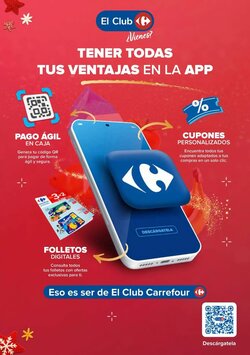 Folleto promocional de Carrefour válido desde el 29/12/2025 - Página 8.