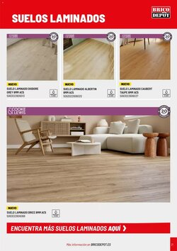 Folleto promocional de Brico Depôt válido desde el 02/01/2026 - Página 21.