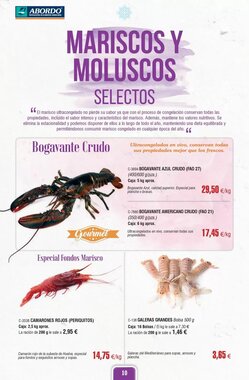 Folleto promocional de Abordo válido desde el 02/01/2026 - Página 10.