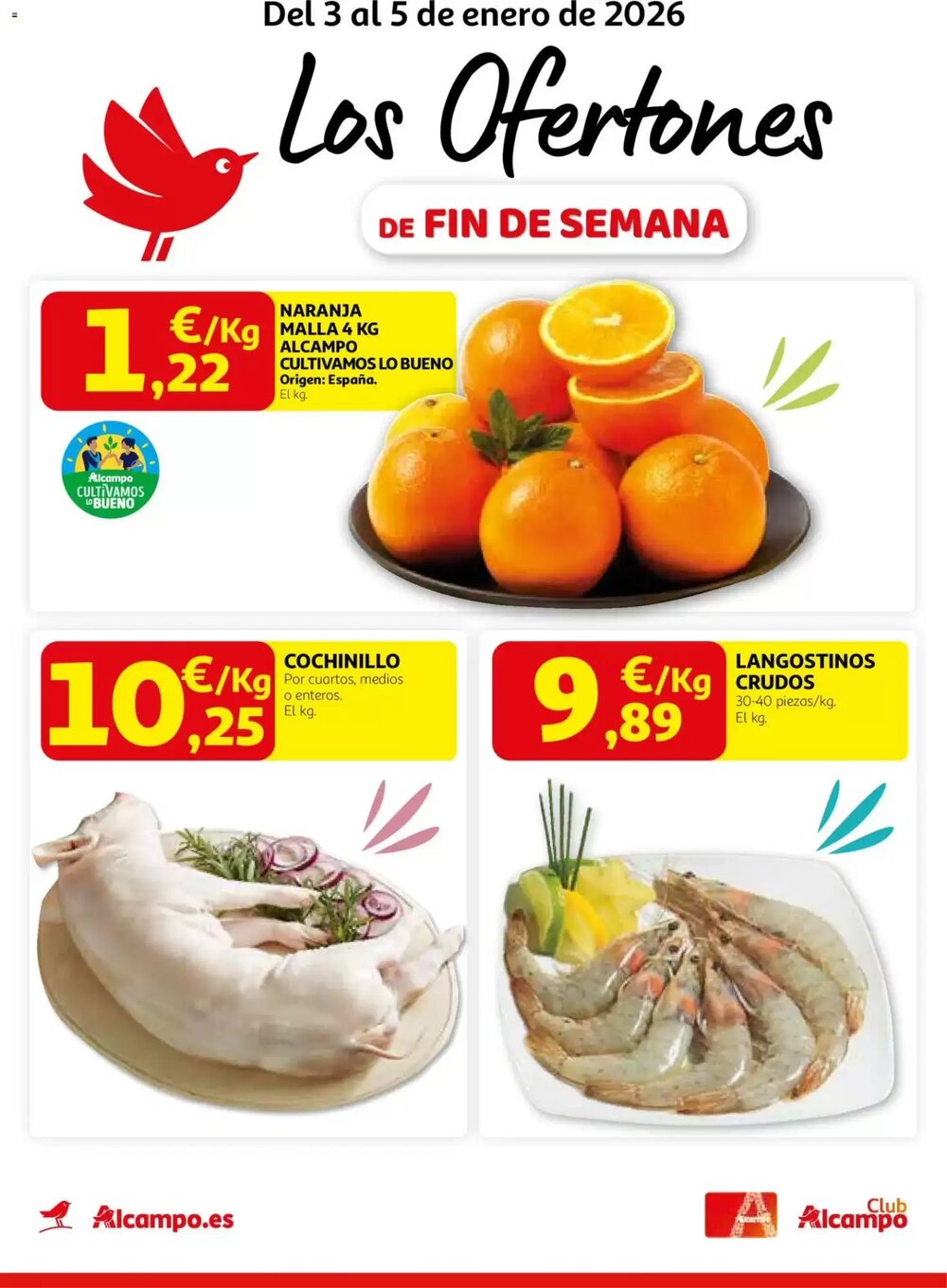 Folleto promocional de Alcampo válido desde el 03/01/2026 - Página 1.