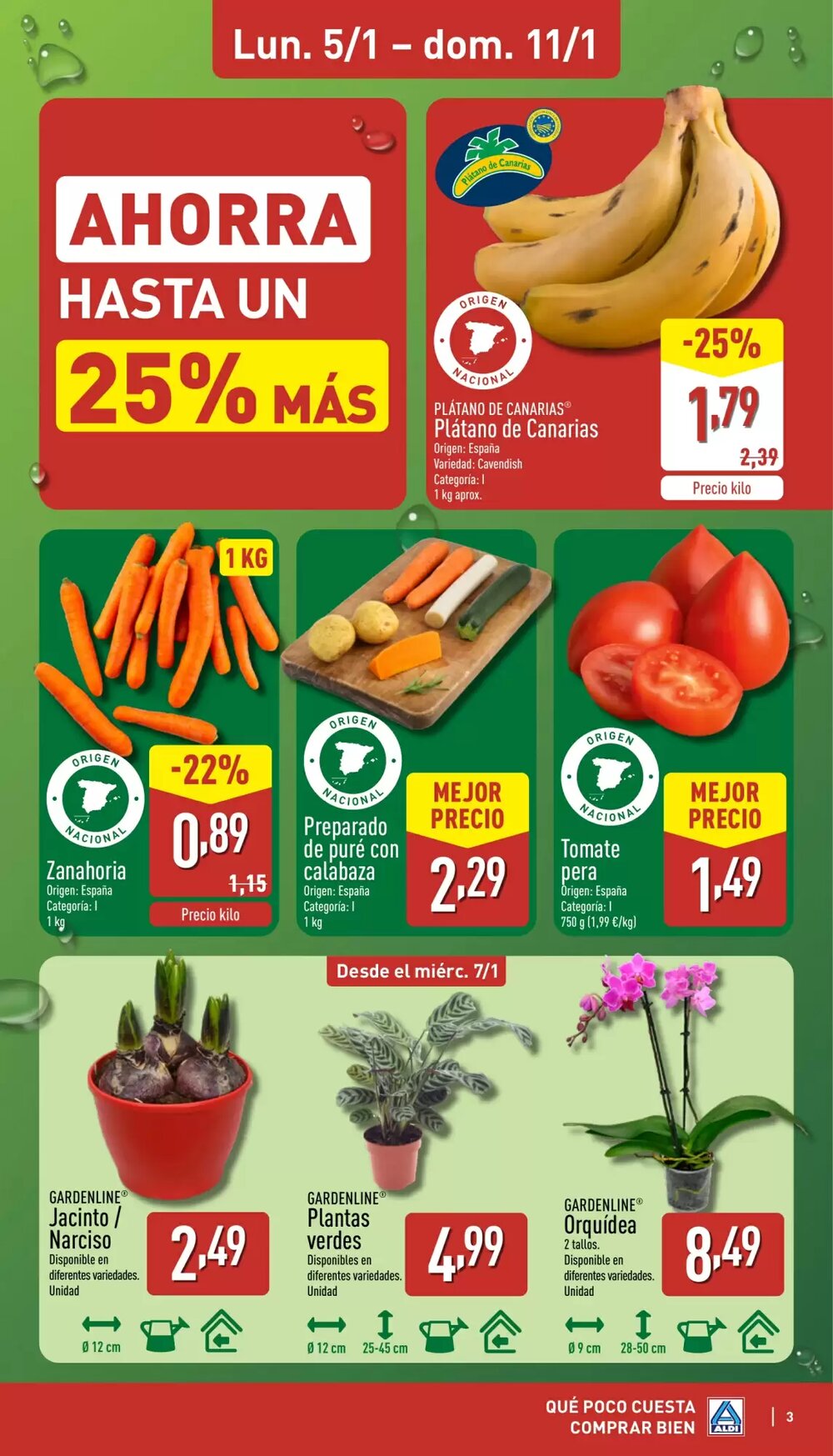 Folleto promocional de ALDI válido desde el 05/01/2026 - Página 3.