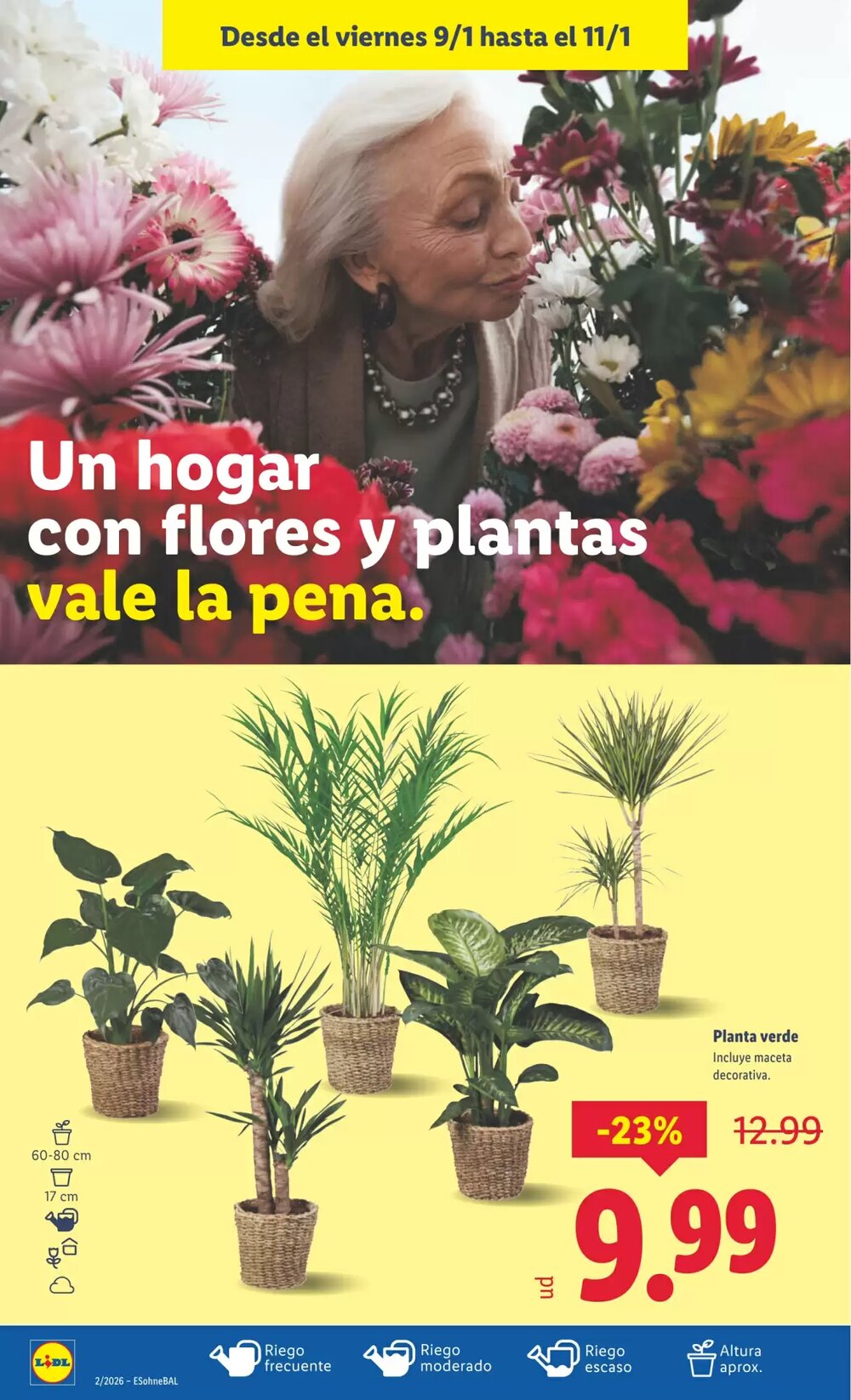 Folleto promocional de Lidl válido desde el 05/01/2026 - Página 32.