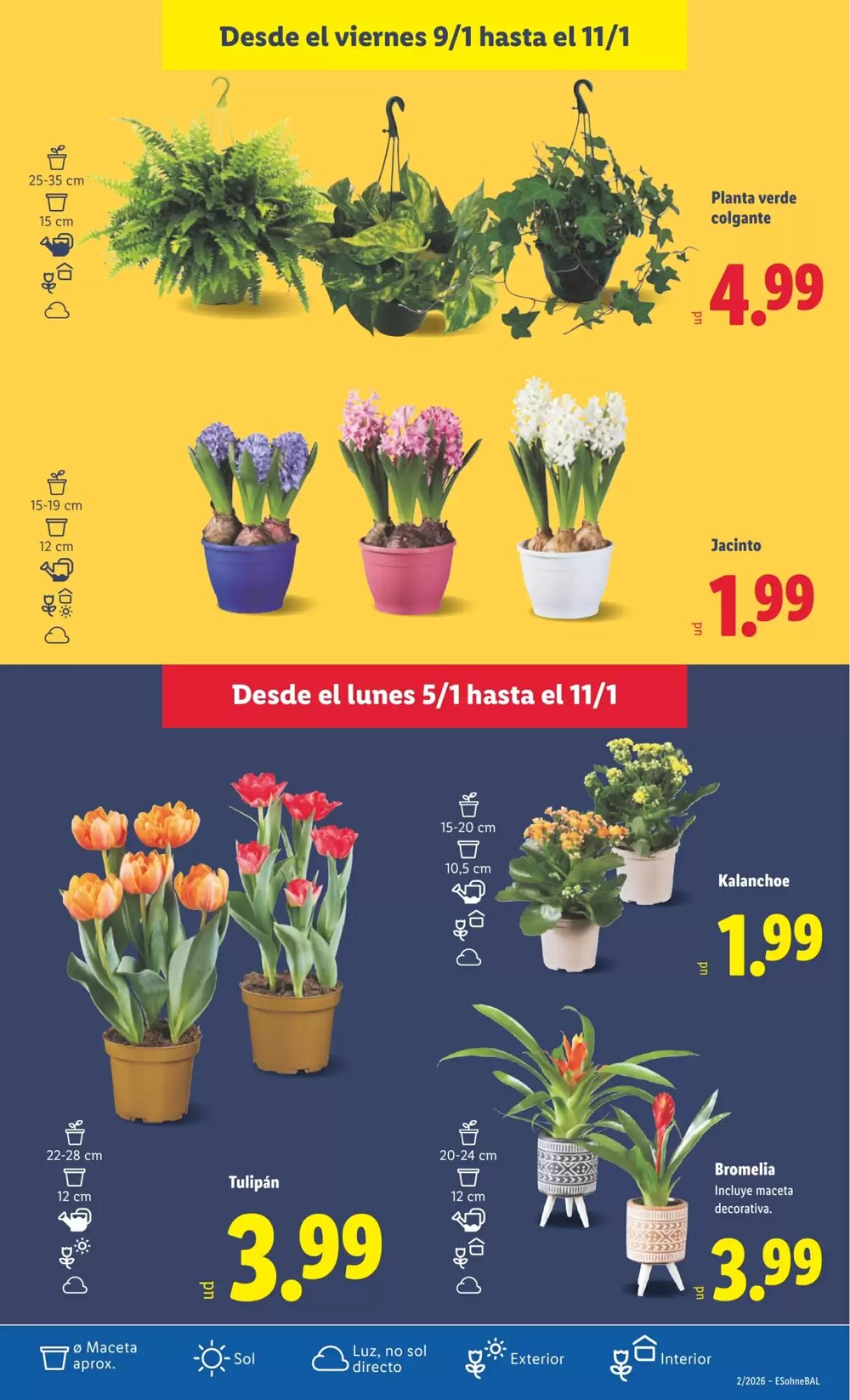 Folleto promocional de Lidl válido desde el 05/01/2026 - Página 33.