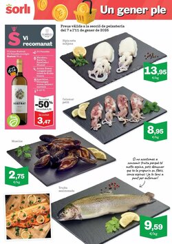 Folleto promocional de Sorli válido desde el 07/01/2026 - Página 12.