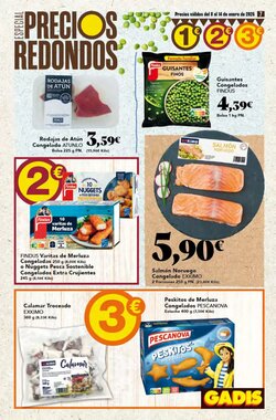 Folleto promocional de Gadis válido desde el 08/01/2026 - Página 7.