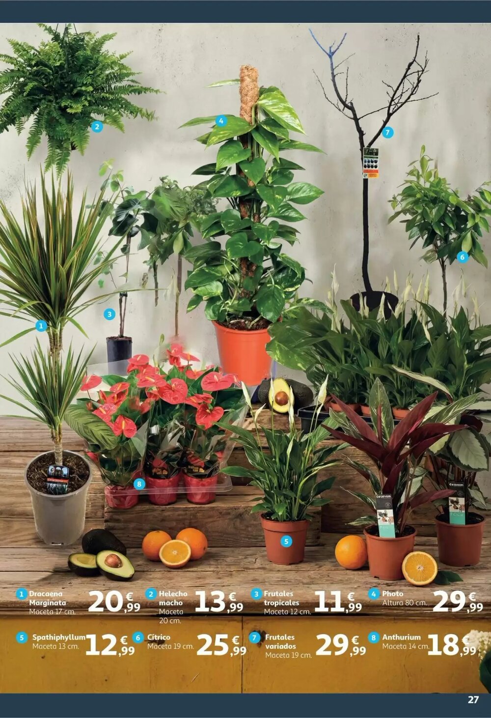 Folleto promocional de Alcampo válido desde el 09/01/2026 - Página 27.