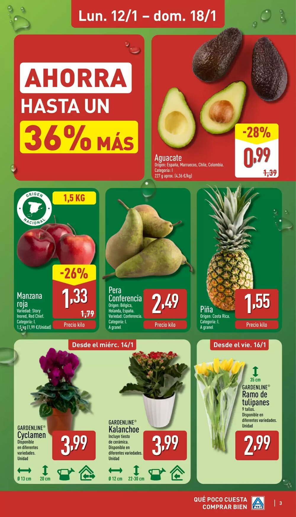 Folleto promocional de ALDI válido desde el 12/01/2026 - Página 3.