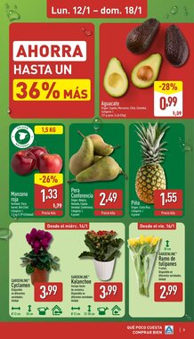 Folleto promocional de ALDI válido desde el 12/01/2026 - Página 3.