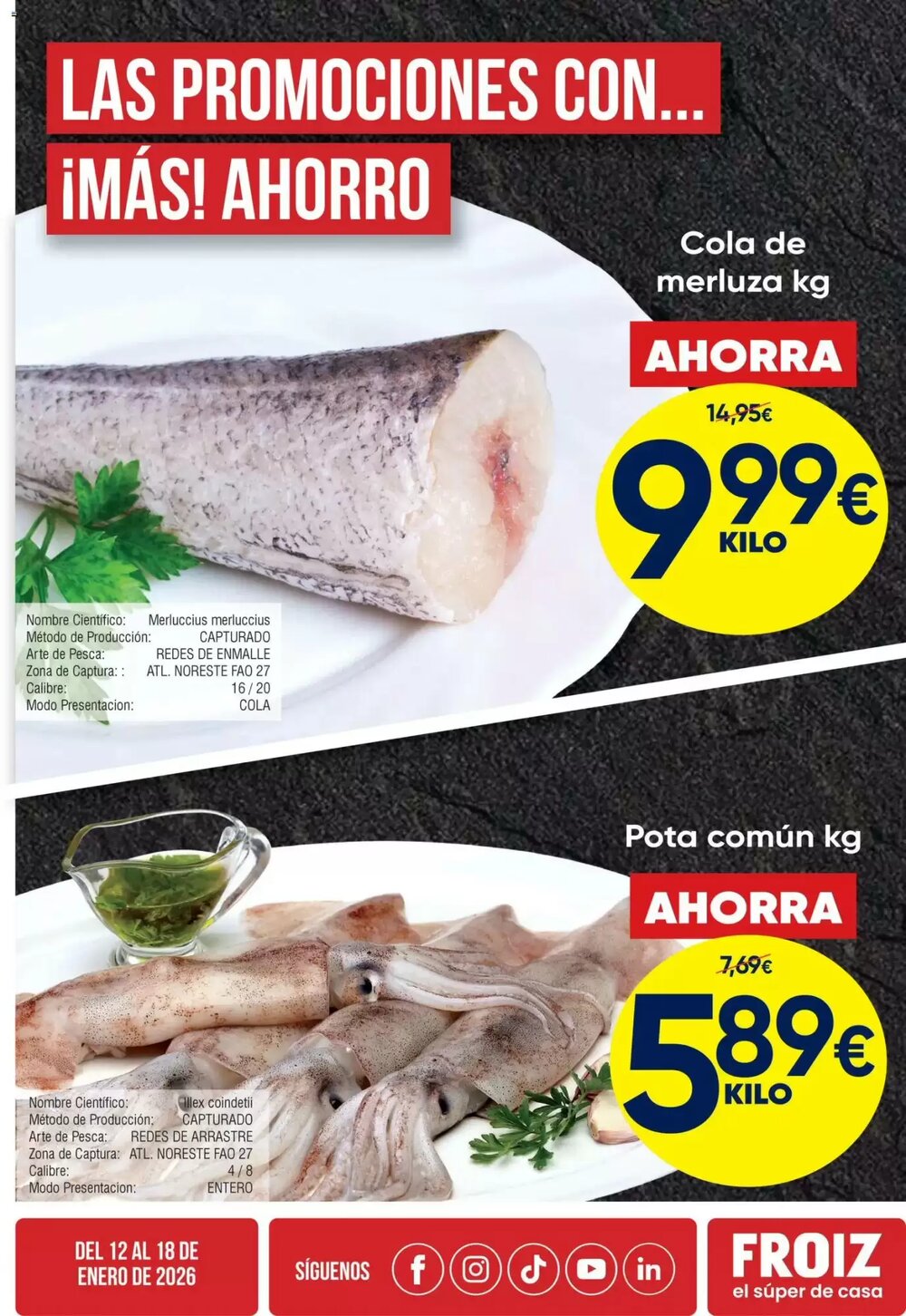 Folleto promocional de FROIZ válido desde el 12/01/2026 - Página 3.