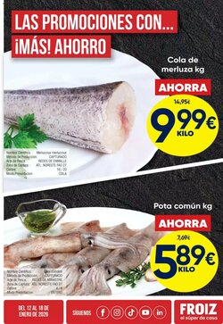 Folleto promocional de FROIZ válido desde el 12/01/2026 - Página 3.