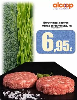 Folleto promocional de Super Alcoop válido desde el 12/01/2026 - Página 13.