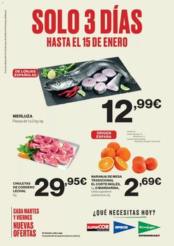 Folleto promocional de Hipercor válido desde el 13/01/2026