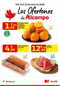 Folleto promocional de Alcampo válido desde el 13/01/2026