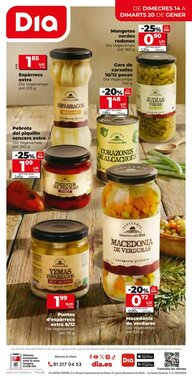 Folleto promocional de Dia válido desde el 14/01/2026 - Página 12.