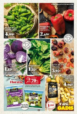 Folleto promocional de Gadis válido desde el 15/01/2026 - Página 13.