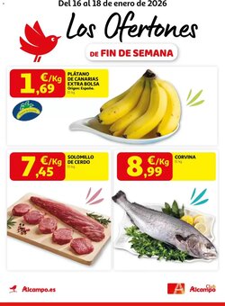 Folleto promocional de Alcampo válido desde el 16/01/2026