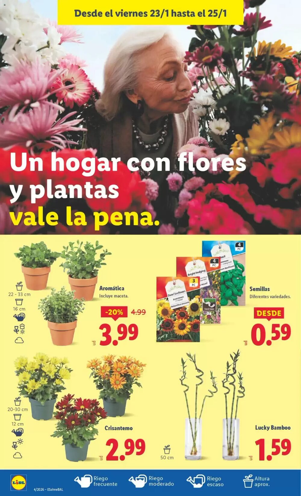 Folleto promocional de Lidl válido desde el 19/01/2026 - Página 40.
