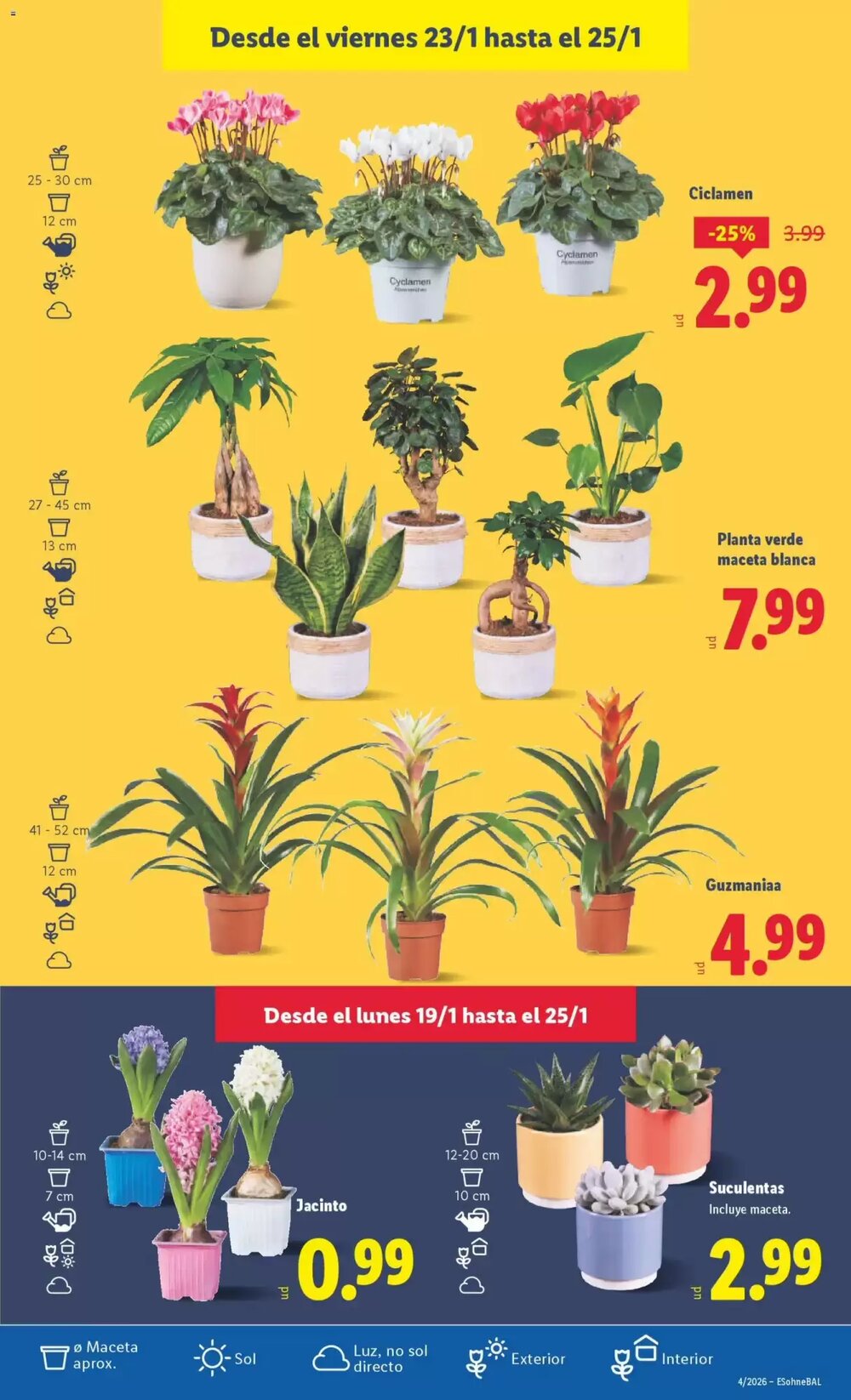 Folleto promocional de Lidl válido desde el 19/01/2026 - Página 41.