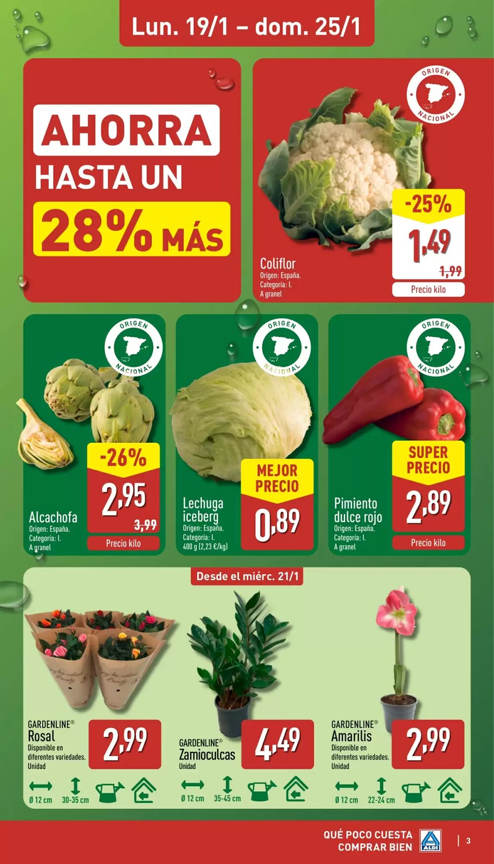 Folleto promocional de ALDI válido desde el 19/01/2026 - Página 3.