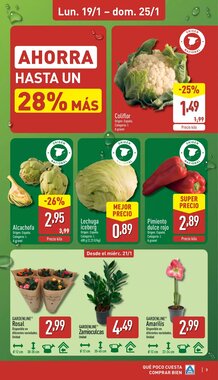 Folleto promocional de ALDI válido desde el 19/01/2026 - Página 3.