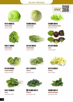 Folleto promocional de Makro válido desde el 20/01/2026 - Página 10.