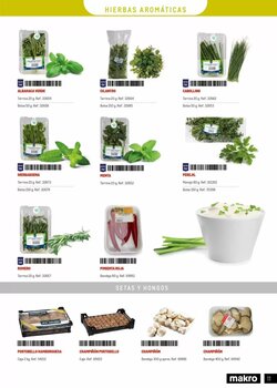 Folleto promocional de Makro válido desde el 20/01/2026 - Página 11.