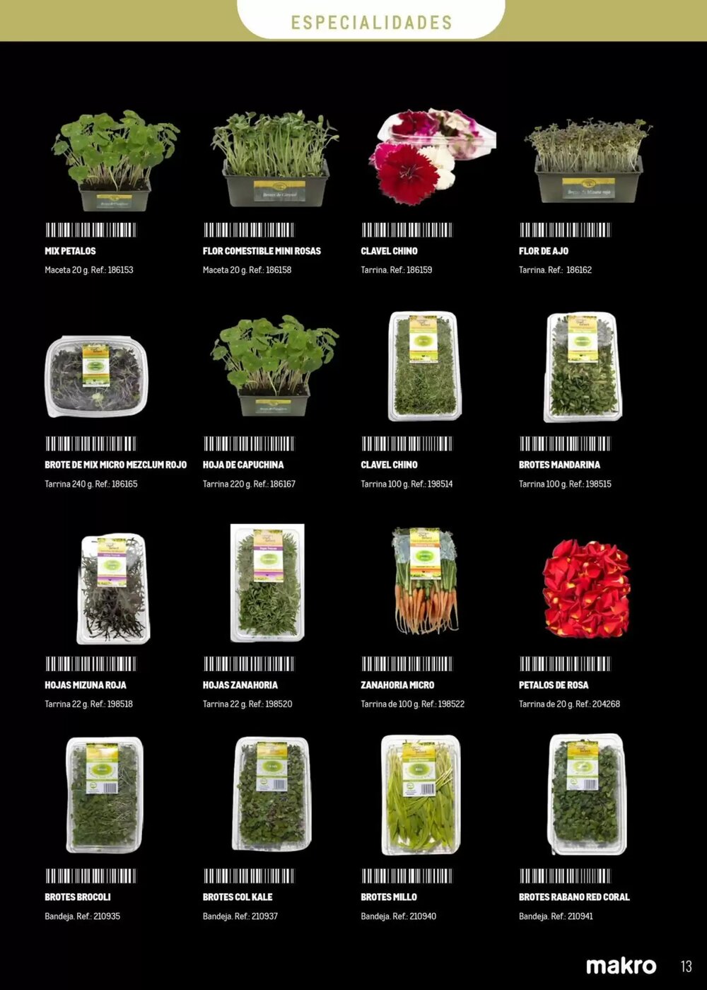 Folleto promocional de Makro válido desde el 20/01/2026 - Página 13.