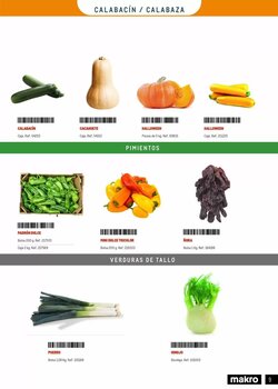 Folleto promocional de Makro válido desde el 20/01/2026 - Página 9.