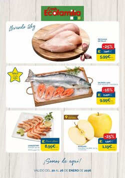 Folleto promocional de Cash Ecofamilia válido desde el 20/01/2026