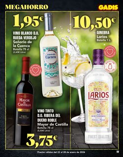 Folleto promocional de Gadis válido desde el 22/01/2026 - Página 19.
