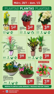 Folleto promocional de ALDI válido desde el 26/01/2026 - Página 12.